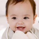 예산장갑 이미지