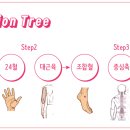 아름나무한의원 이미지