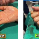 의성수지 이미지