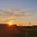 예일카센타 이미지