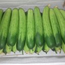 재환농장 이미지