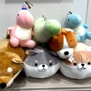 유픽의원 이미지