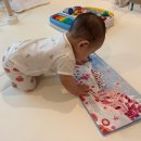 진화농장 | 내돈내산 어스본 사운드북(호두까기인형, 사계, 동물의 사육제, 정글, 동물농장) 5개월 사용 후기