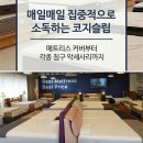 코지프로모션