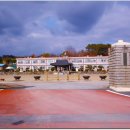 백강초등학교 이미지