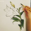 수묵일러스트와 캘리그라피 이미지