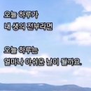 바람처럼 떠날수 있는삶 이미지