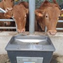 거창축협섬유질사료공장 이미지