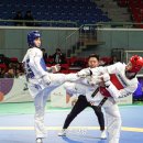 삼성태권도 체육관 이미지