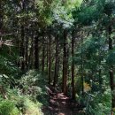 안덕면 안덕계곡서쪽 | 제주도 서쪽 오름 추천 병악오름 수국길 제주 숨은 명소