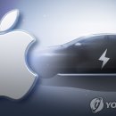 애플팩트 이미지