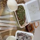 연희초장 | 부국제 1일차 후기 (이재모피자, 광안리 연희초장 위주)