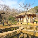 강진스테이오소 이미지