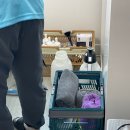 대구매트리스청소 깨끗한아빠 대구점 이용한 솔직후기