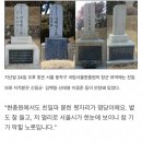 양지63 이미지