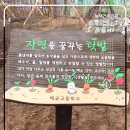 배곧고등학교 이미지