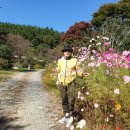 안골동산정원 네이버블로그