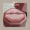 해양진주 | 해양진주 아코야진주 구매 후기 <내돈내산>