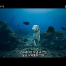해마수중