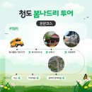 봄나드리투어 이미지