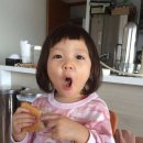 봉글봉글 이미지