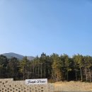 정글돔풀빌라 앤 글램핑 이미지