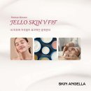 스킨엔젤라 이미지