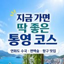 통영편백숲길관광농원 | 통영 가볼만한곳 6월 말 코스 정리: 연화도 수국부터 편백숲, 항구 맛집까지 하루 동선