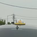 다보문구 - 담양군 창평로 598 | [대전여행] 대전 1박2일 여행 코스 추천!🚘 한밭수목원부터 요즘 핫플 몽심까지! 🌳🥐