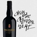 마르살라 이미지