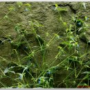 서샘물목장 이미지