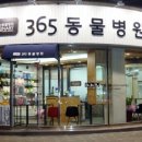 365동물병원 이미지