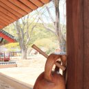 달마지마을 이미지