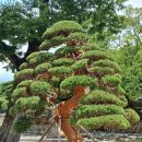 이재홍내과의원 이미지