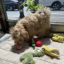 도기로움 이미지