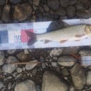 여울모텔 이미지