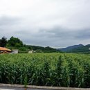 별이사는집 이미지