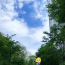 법원 합기도 | 세종 리버뷰 아파트는 얼마일까? #소담동임장 #세종3생활권 중흥S클래스리버뷰아파트, 모아미래도리버...