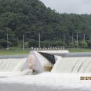 낙동강변로 Daum카페