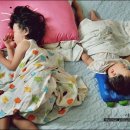 PC복댕이 이미지