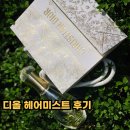 디올 헤어미스트 후기