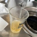 제주오두껍 이미지