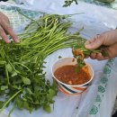 대구경북양돈농협 앞 이미지