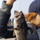 토도수산 이미지