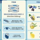 수니식품