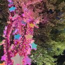 별빛새길갤러리&카페 이미지