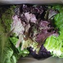 내동마을 영농조합법인 이미지