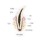 행신동물병원 이미지