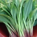 이영식농장 이미지