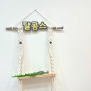 달콩스 케이크